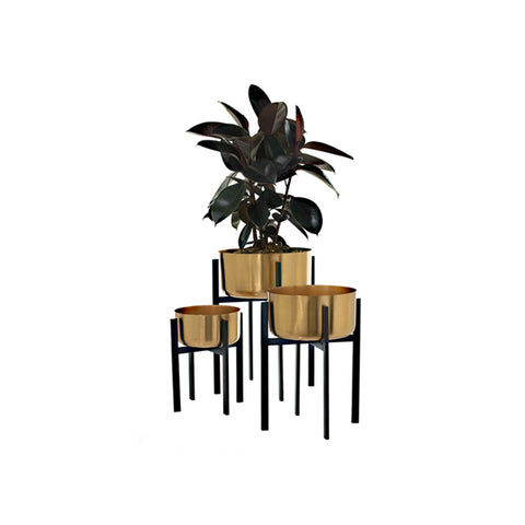Dash Plant Stands