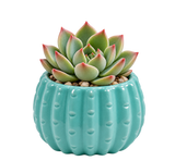 Teal Ceramic Cactus Pot