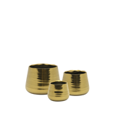 Gold Bowl Pot