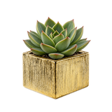 Short Square Ceramic Block Vase - 4"H