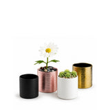 Ceramic Cylinder Vase 4"