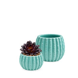 Teal Ceramic Cactus Pot