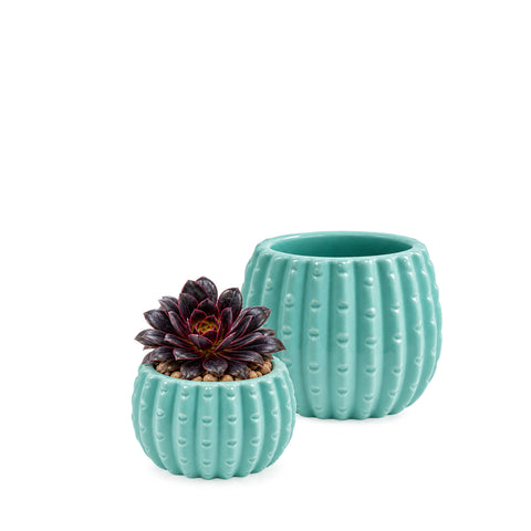 Teal Ceramic Cactus Pot