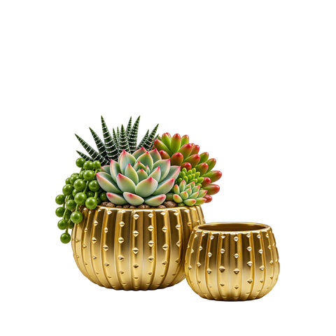 Matte Gold Ceramic Cactus Pot