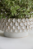 Mirabai Bowl