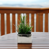 Short Square Ceramic Block Vase - 4"H