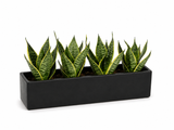 Long Flat Rectangle - 14"