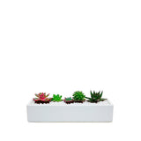 Long Low Rectangle - 16"