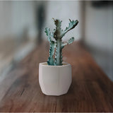 White Geometric Pot