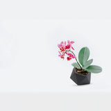 Black Tilted Geometric Pot