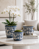 Planter
