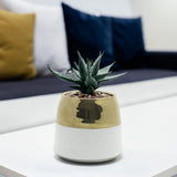 White Ceramic Pot with Gold Rim