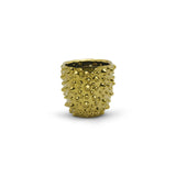 Gold Spike Pot