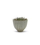 Fancy White Acorn Ceramic Vase