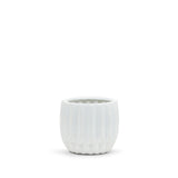 Unique Modern White Pot