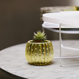 Matte Gold Ceramic Cactus Pot