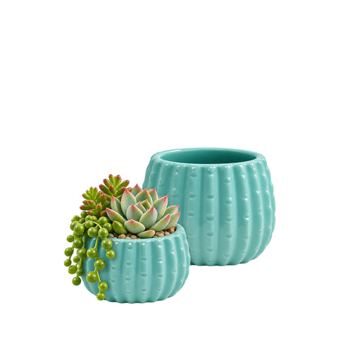 Teal Ceramic Cactus Pot
