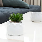 White Honey Pot Vase with Decorative Knob Edge