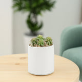 Ceramic Cylinder Vase 4"