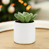 Ceramic Cylinder Vase 5"