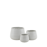 White Bowl Pot
