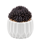 Unique Modern White Pot