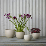 Astrid Pot