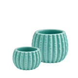 Teal Ceramic Cactus Pot