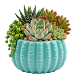 Teal Ceramic Cactus Pot