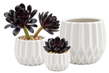 Unique Modern White Pot