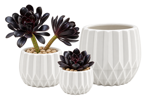 Unique Modern White Pot