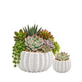 White Ceramic Cactus Pot