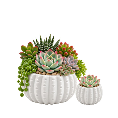 White Ceramic Cactus Pot