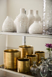Everest Collection