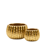 Matte Gold Ceramic Cactus Pot