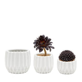 Unique Modern White Pot