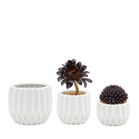 Unique Modern White Pot