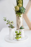 Petite Budvases