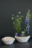 Coral Bowl