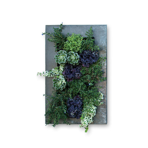 Zinc Wall Planter